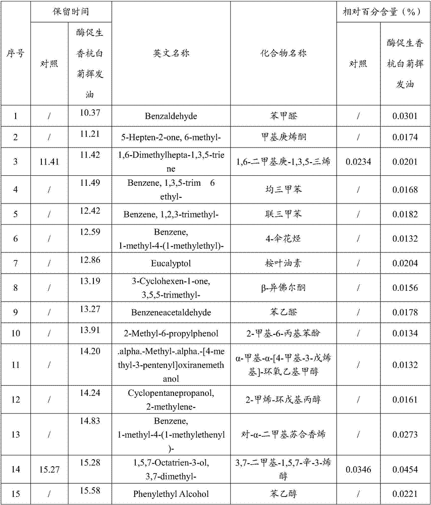 Chrysanthemum morifolium essential oil preparation method for improving aroma quality by enzymatic aroma enhancement and application