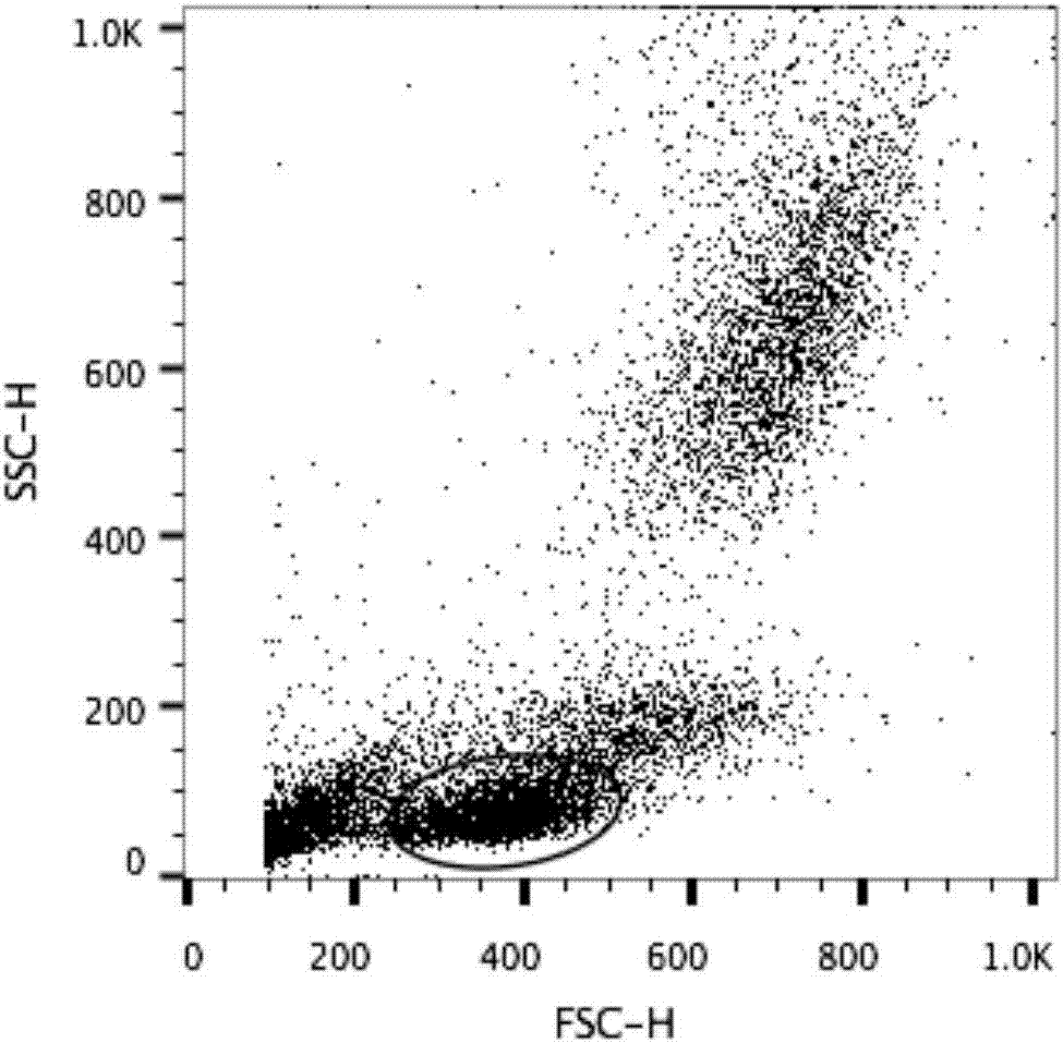 Method for assaying T-lymphocyte subpopulations of swine peripheral blood by flow cytometry