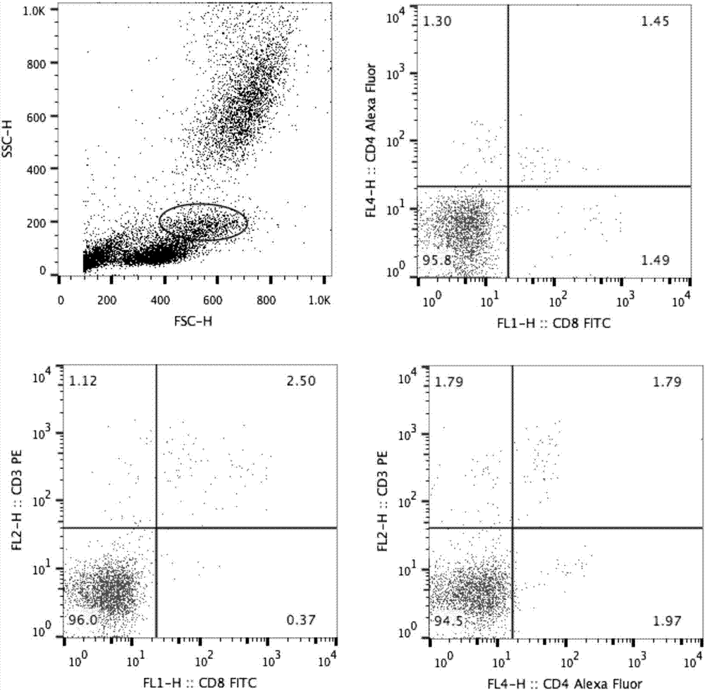 Method for assaying T-lymphocyte subpopulations of swine peripheral blood by flow cytometry