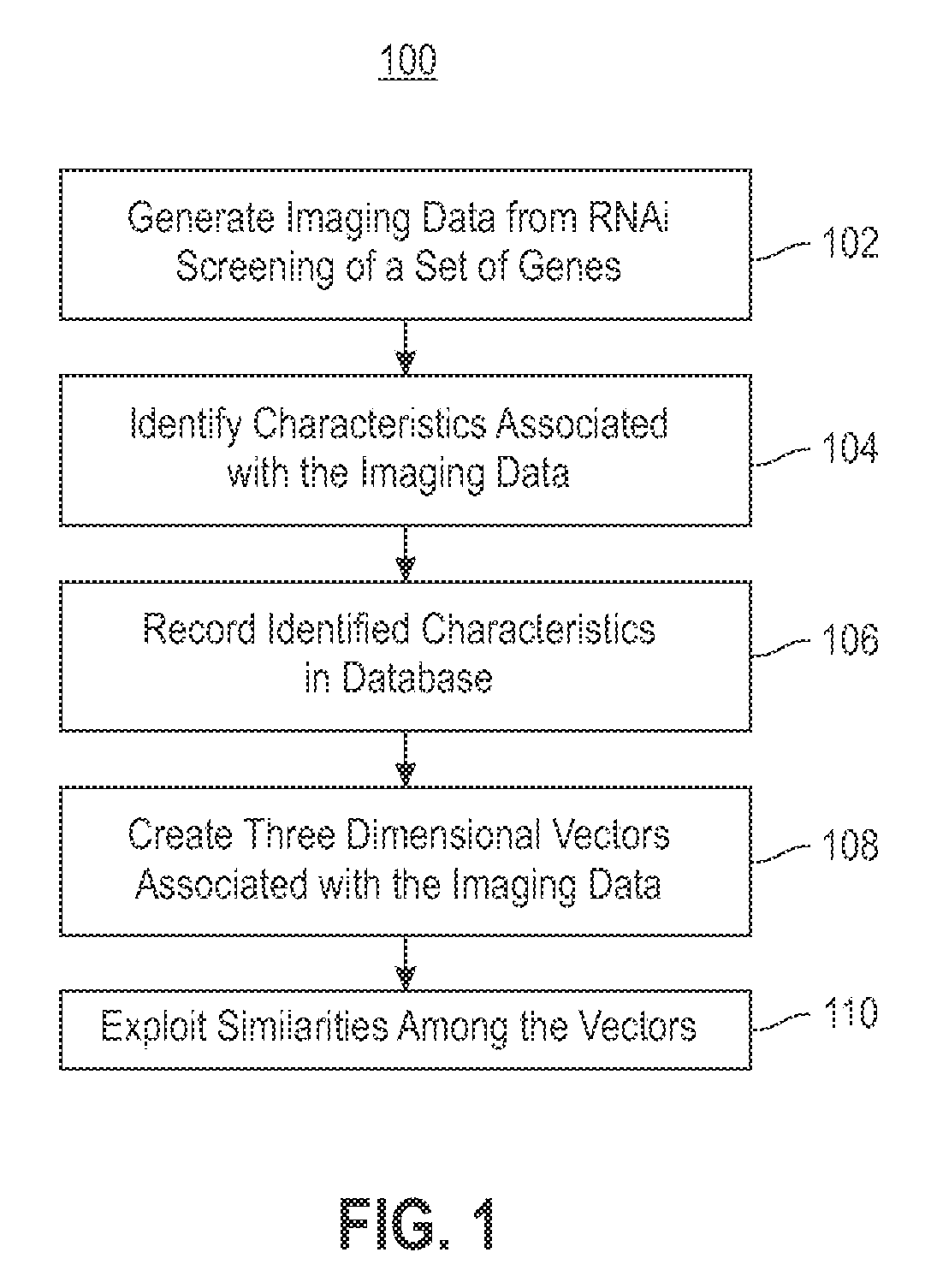 Using RNAi imaging data for gene interaction network construction