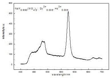 Rare earth nay(wo4)2:dy3+, ho3+ phosphor and its preparation method