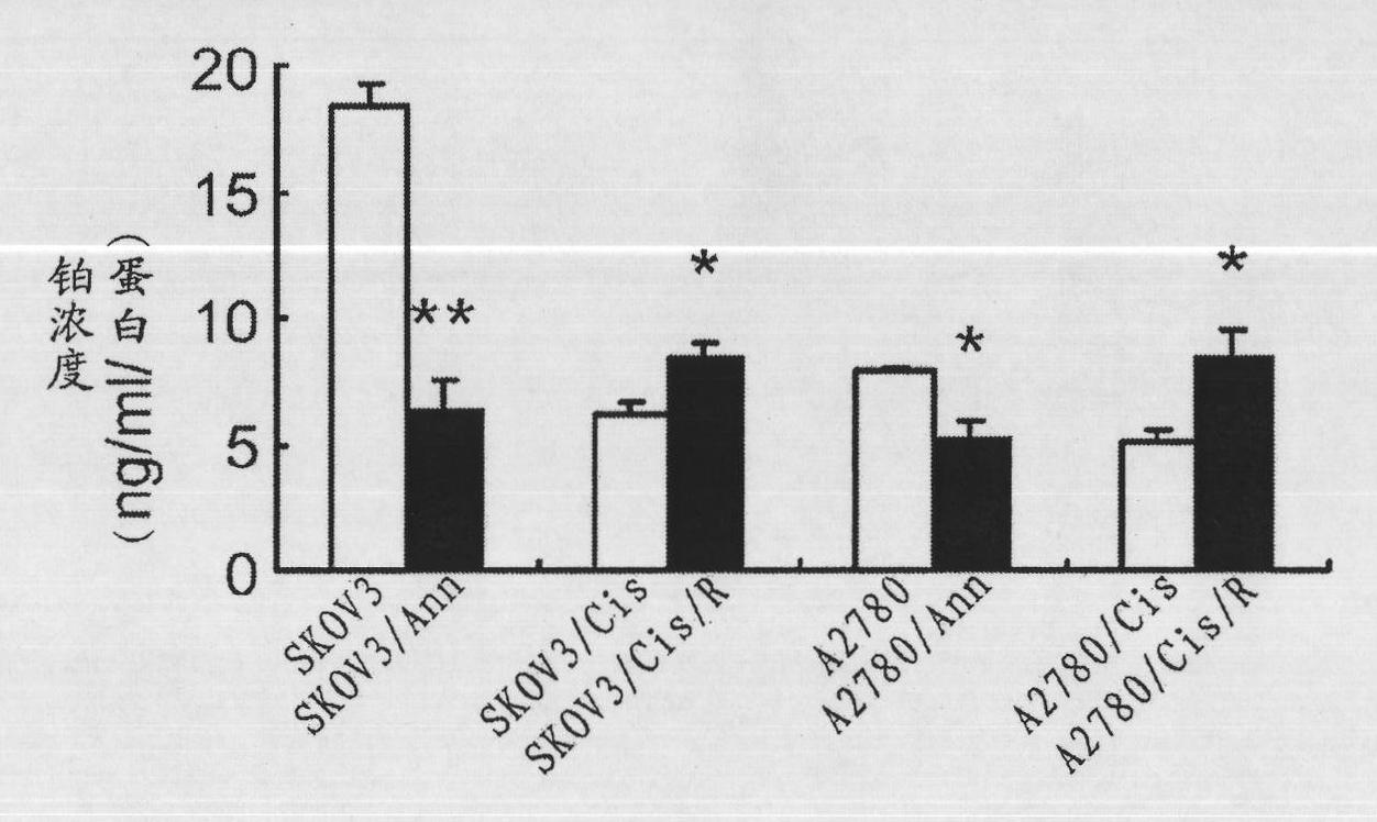 Method for detecting expression level of annexin A3