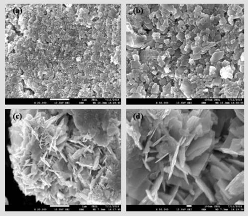 A preparation method, product and application of hexadecyltrimethylammonium bromide modified bismuth molybdate photoelectrode