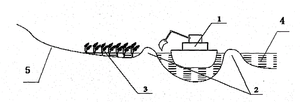 Method for restoring ecology integrating substrates, hydrology and organisms in bank collapse lakeside