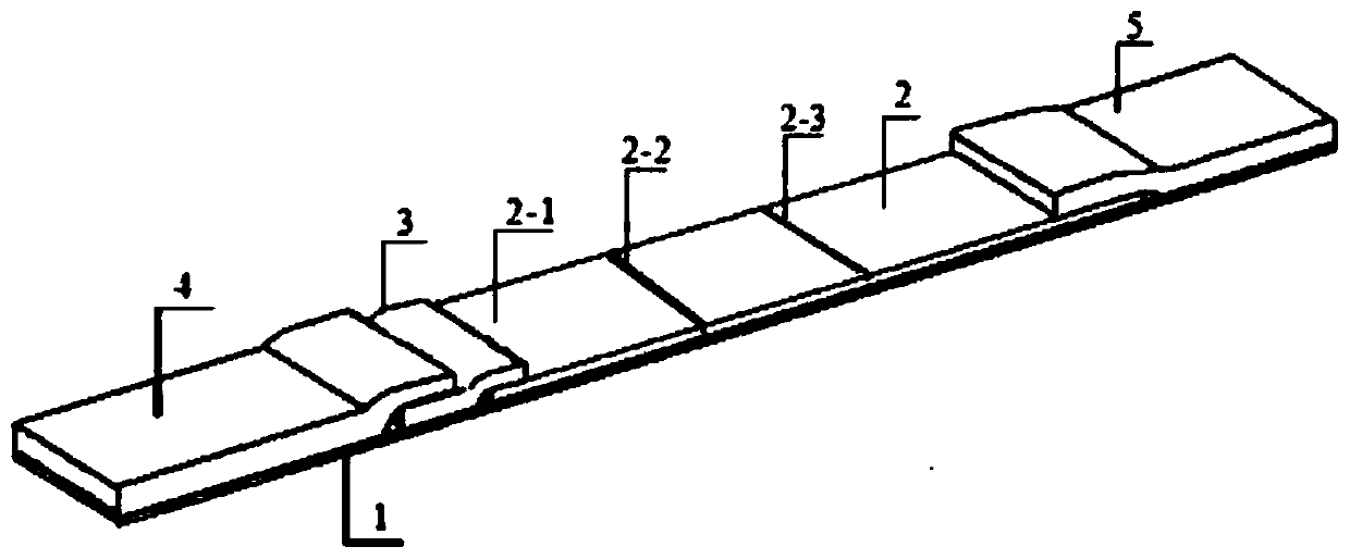 Lateral flow test strip for serum marker luminescence detection based on near-infrared excitation and emission as well as preparation method and application method of lateral flow test strip