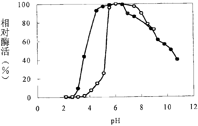 Method for producing xylobiose, and dedicated immobilized enzyme