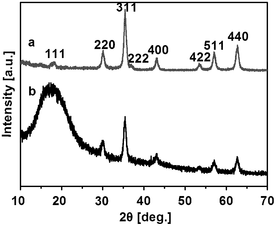 Preparation method for chiral magnetic microspheres containing substituted acetylene polymer