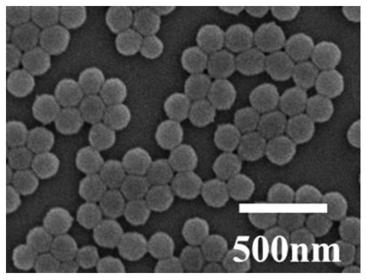 A kind of preparation method and application of antioxidant polyphenol nanomaterial