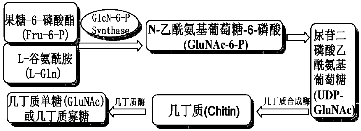 A kind of glucofuranosyl triazole compound and its preparation method and fungicide