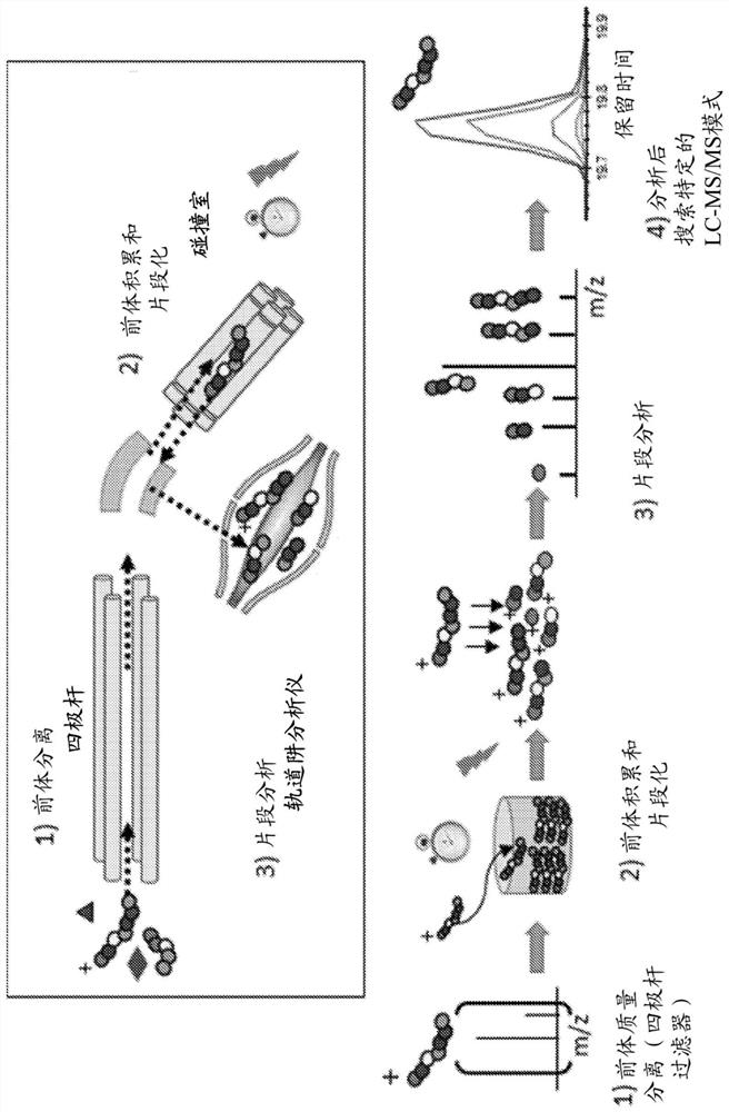 Methods of diagnosing and treating based on site-specific tau phosphorylation