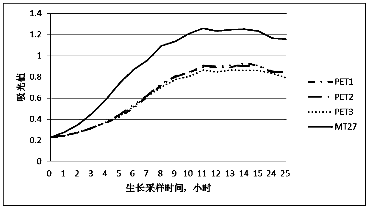 Metallothionein gene MT27, metallothionein obtained through encoding of metallothionein gene MT27 and expression and application of metallothionein