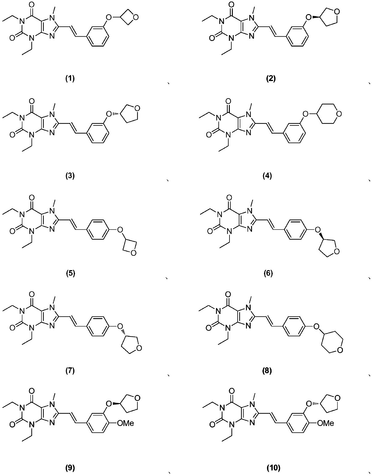 8-substituted styryl xanthine derivative and application thereof