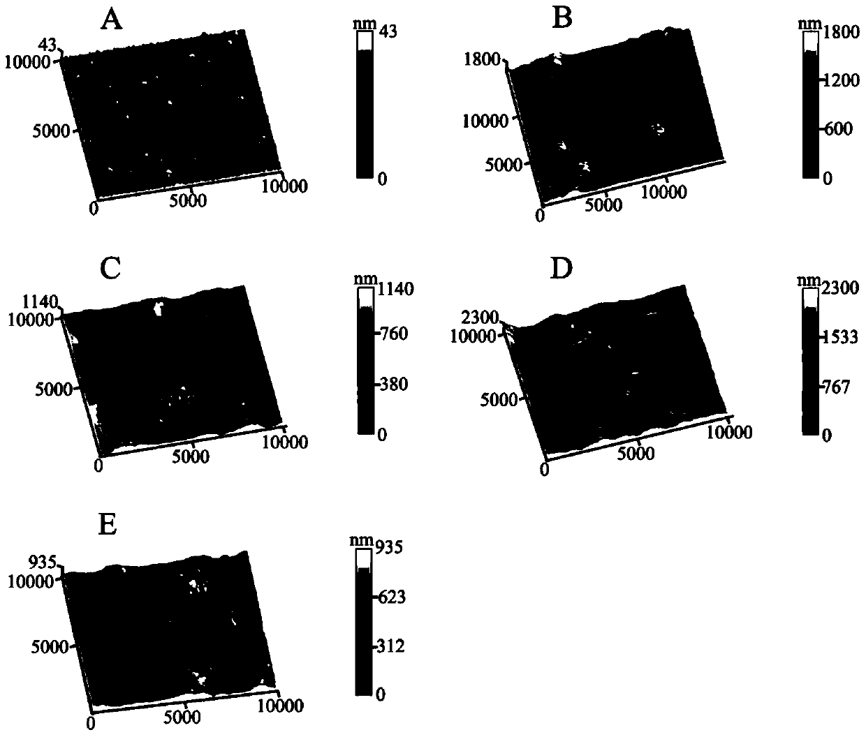 Disposable nano-electrochemiluminescence two-component immunosensor and preparation method thereof