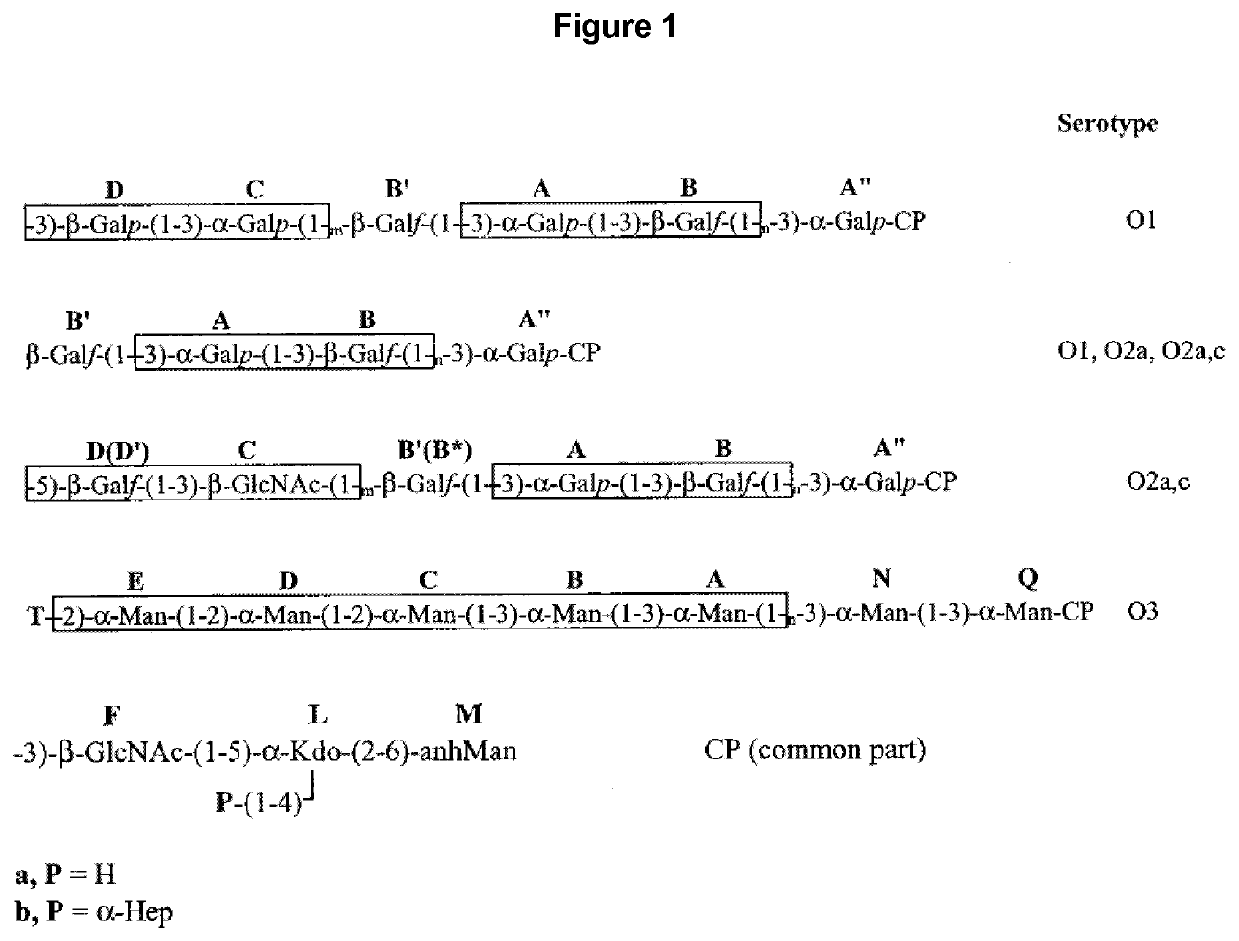 Vaccine against klebsiella pneumoniae