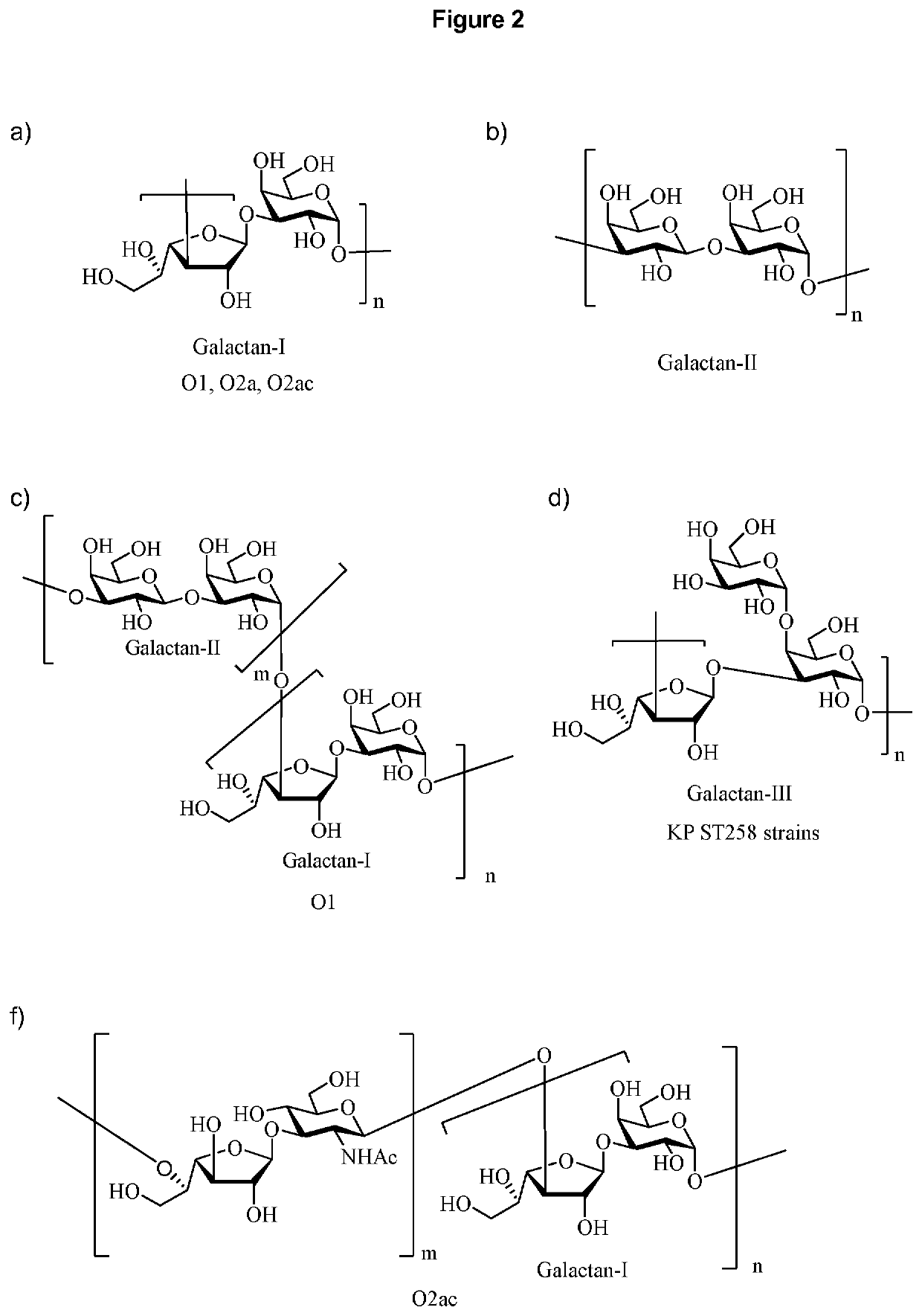 Vaccine against klebsiella pneumoniae