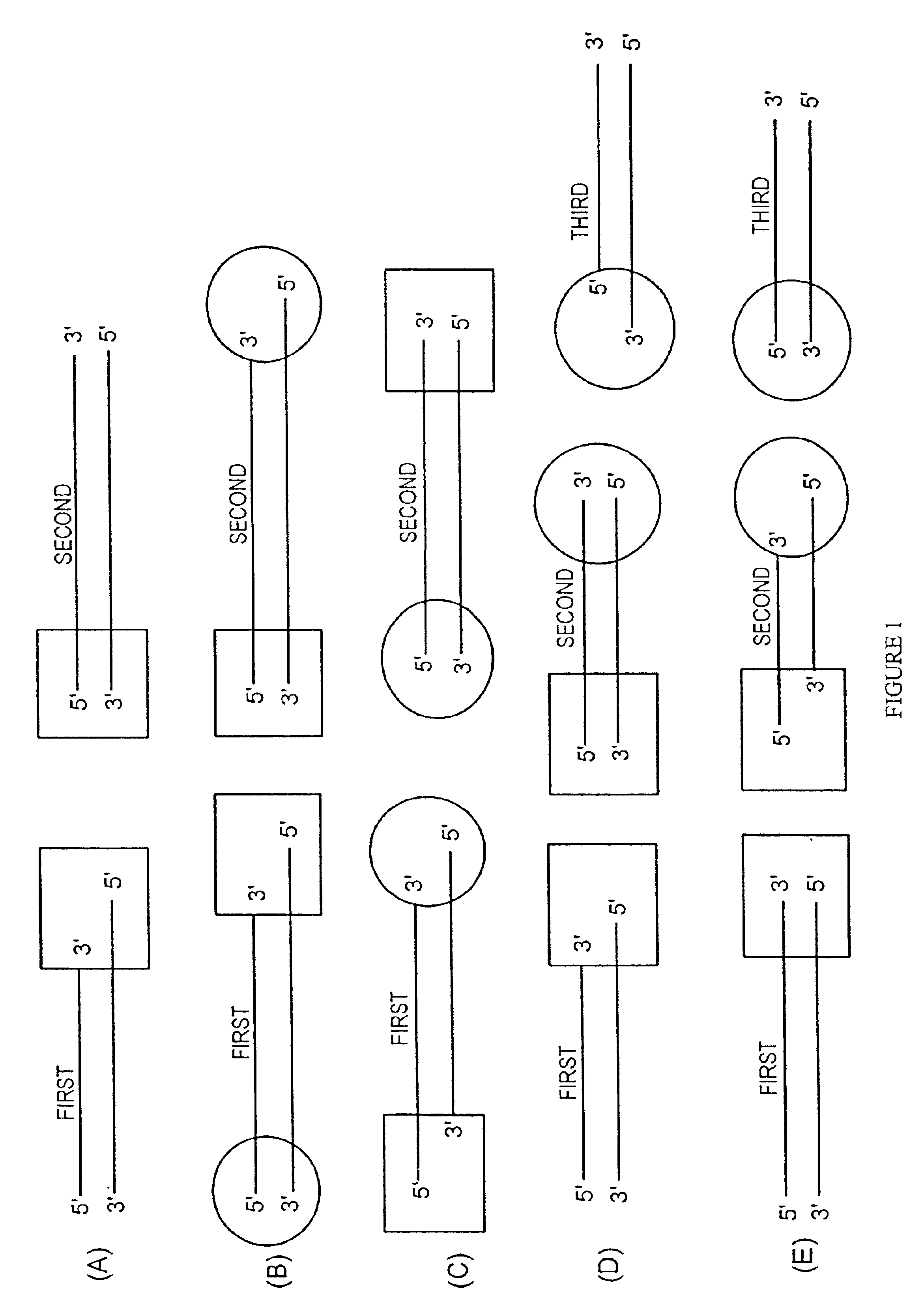 Methods and reagents for molecular cloning