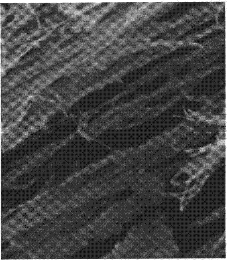 Directional orifice carbide biological ceramic material and preparation method thereof