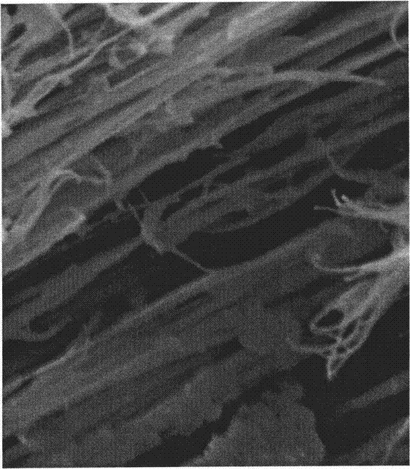 Directional orifice carbide biological ceramic material and preparation method thereof