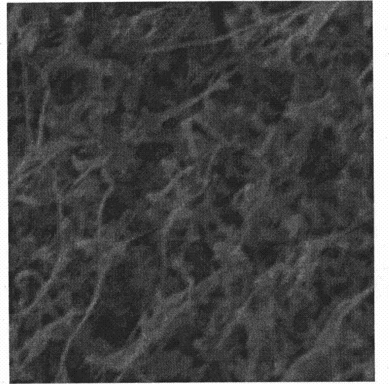 Directional orifice carbide biological ceramic material and preparation method thereof