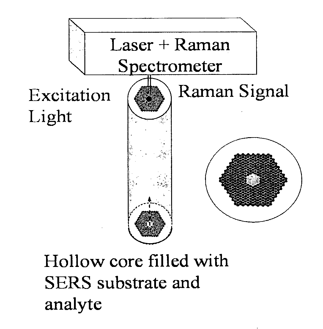 Liquid core photonic crystal fiber biosensors using surface enhanced raman scattering and methods for their use