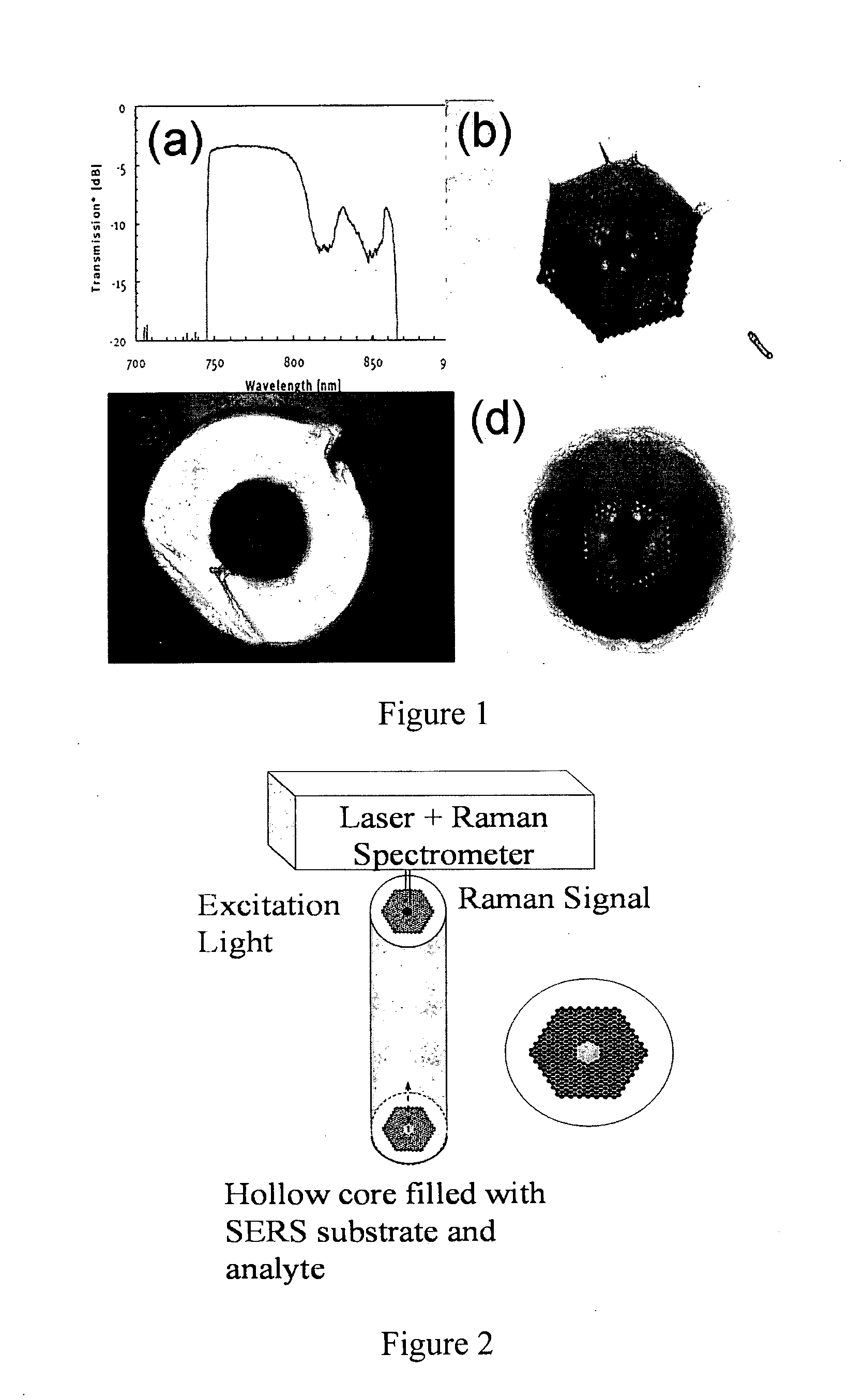 Liquid core photonic crystal fiber biosensors using surface enhanced raman scattering and methods for their use