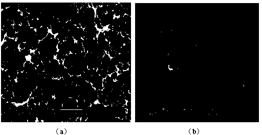 Method of preparing TiSrO3 coating on surface of titanium implant