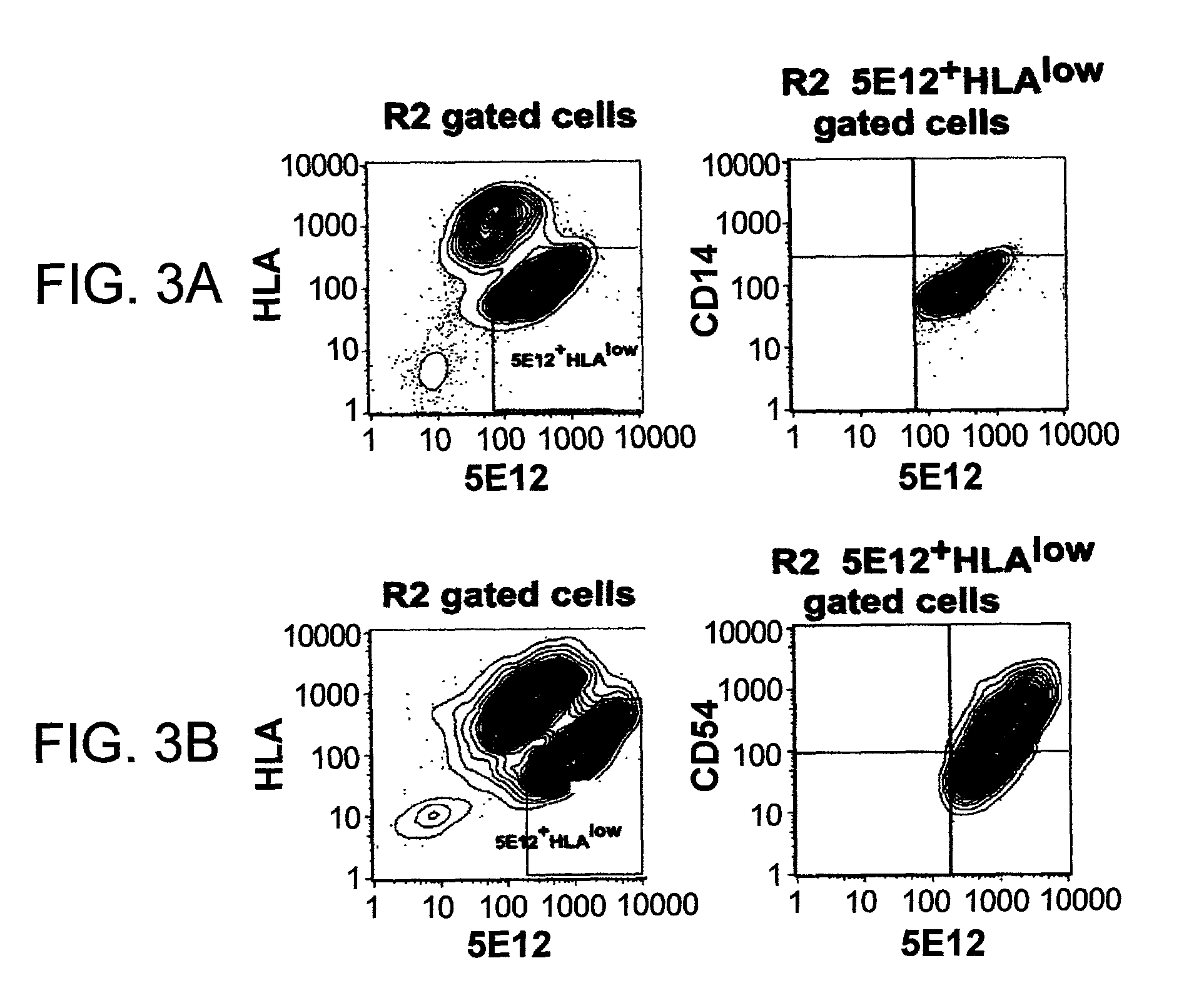Liver engrafting cells, assays, and uses thereof