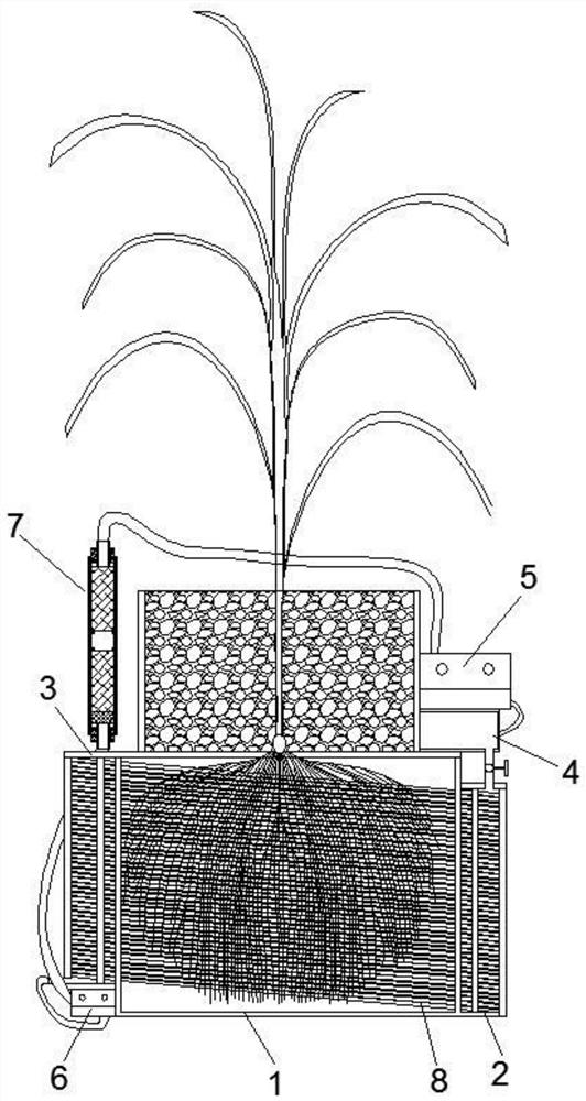 Plant root secreta continuous collection device