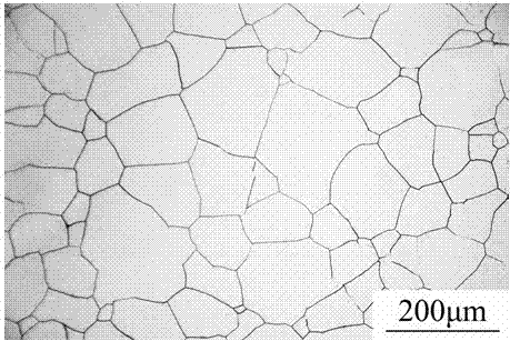 Metallographic phase corrosion method displaying austenitic stainless steel grain boundary
