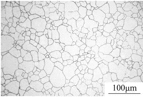 Metallographic phase corrosion method displaying austenitic stainless steel grain boundary