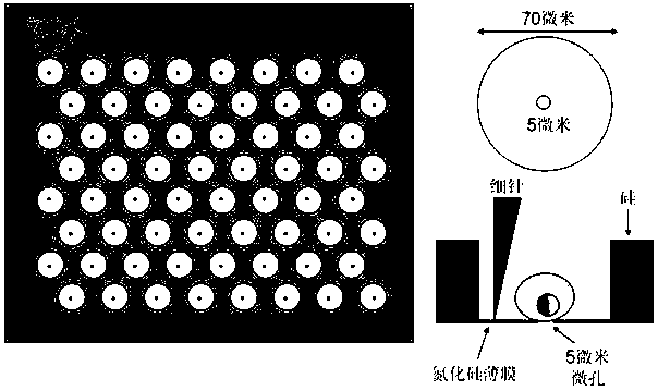 Rare cell enrichment device and method