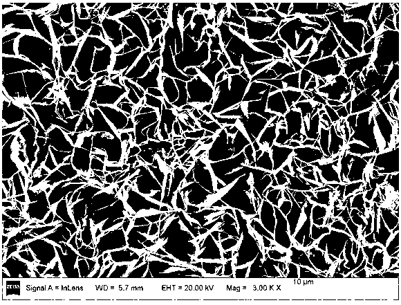 Nano-array structured catalyst used for Fischer-Tropsch synthesis and preparation method and application thereof