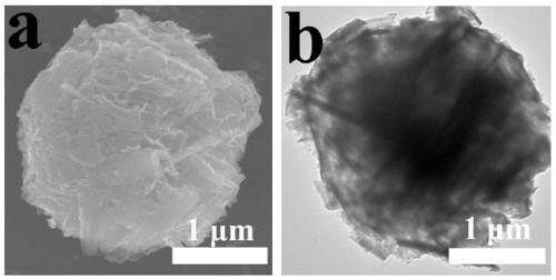 Bismuth tungstate/bismuth sulfide/molybdenum disulfide heterojunction ternary composite material and preparation method and application thereof