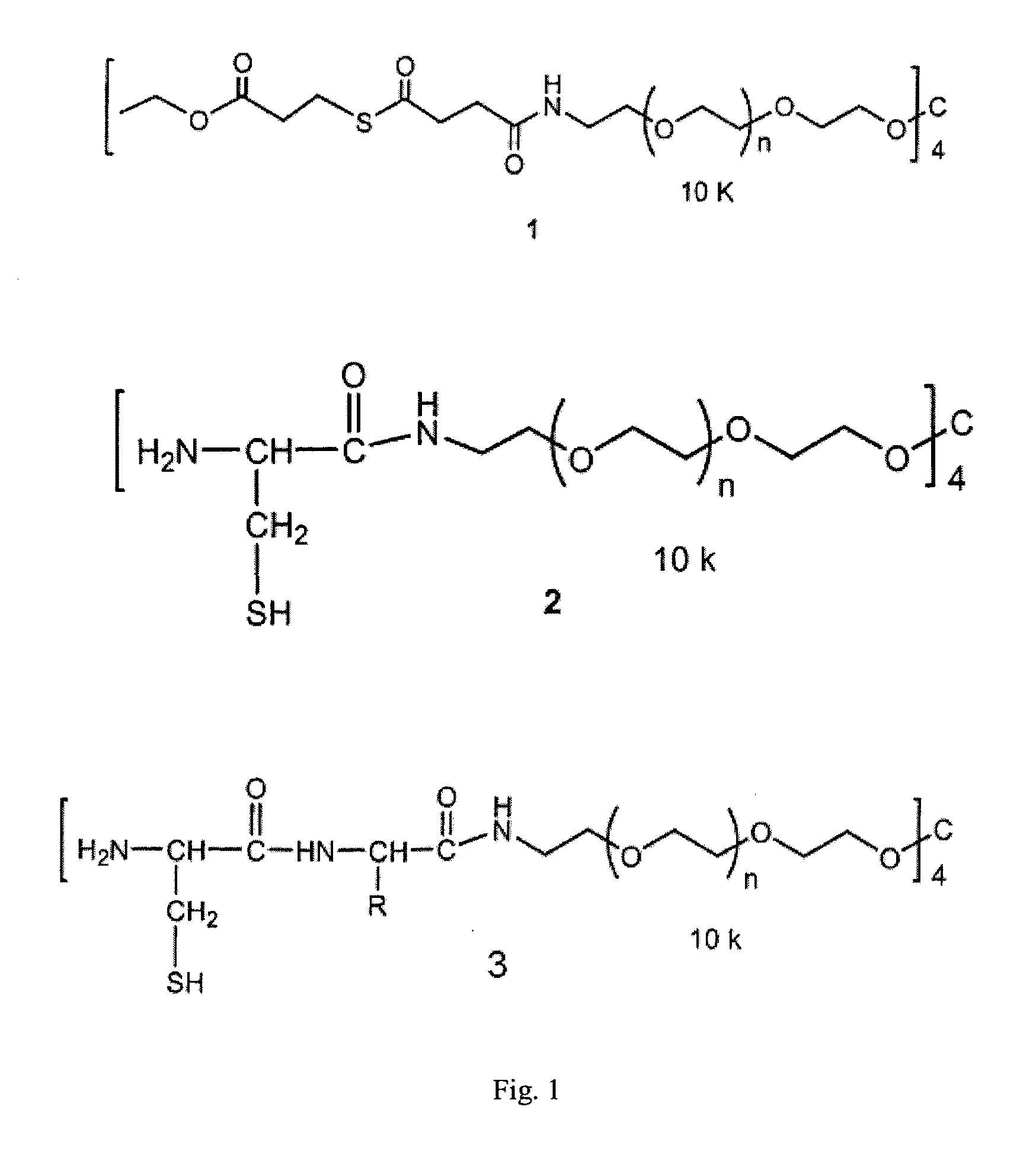 Macromonomers and hydrogel systems using native chemical ligation, and their methods of preparation