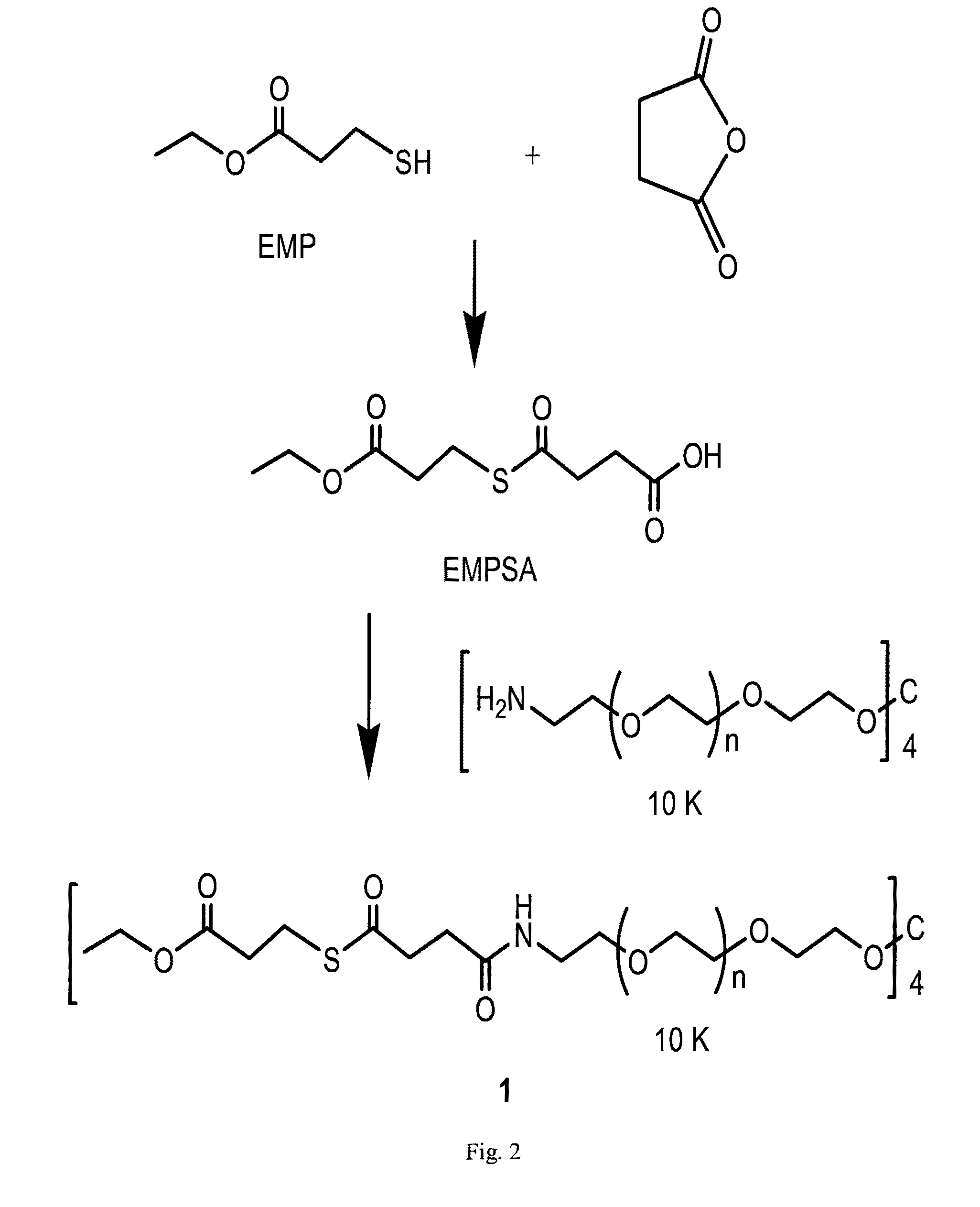 Macromonomers and hydrogel systems using native chemical ligation, and their methods of preparation