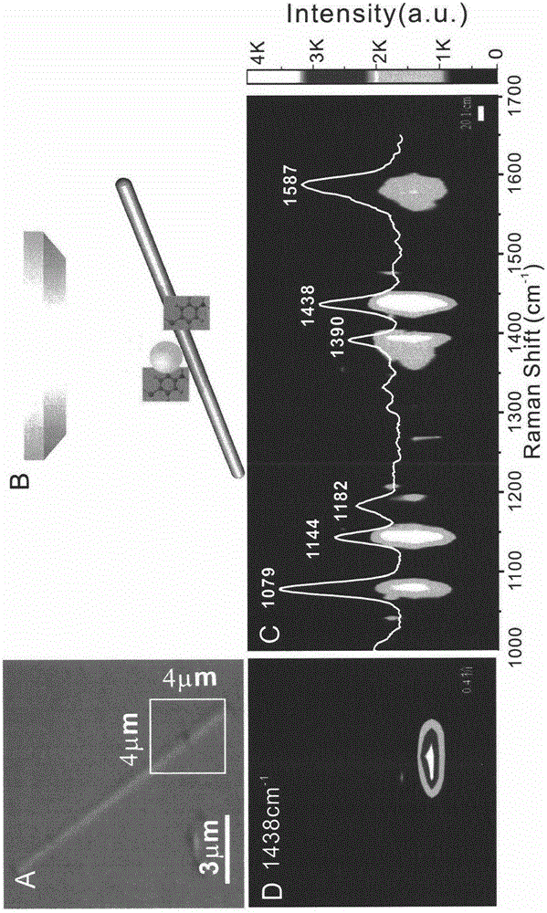 Surface-enhanced Raman scattering base with visible hot spots, preparation method and method for detecting molecules through base