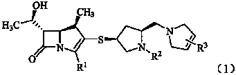 Dihydropyrrole methano substituted carbapenem derivates