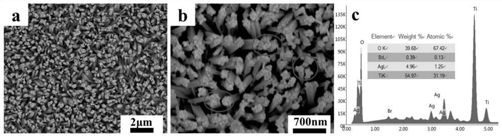 Preparation method of Ag-AgBr/TiO2 nanorod composite array film