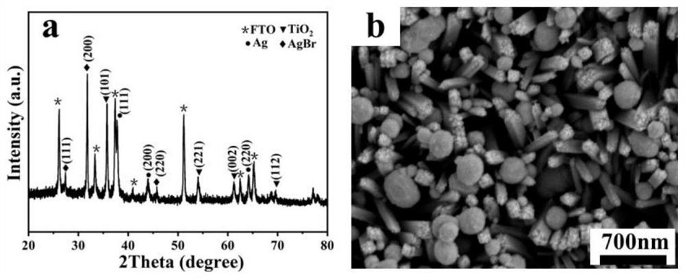 Preparation method of Ag-AgBr/TiO2 nanorod composite array film