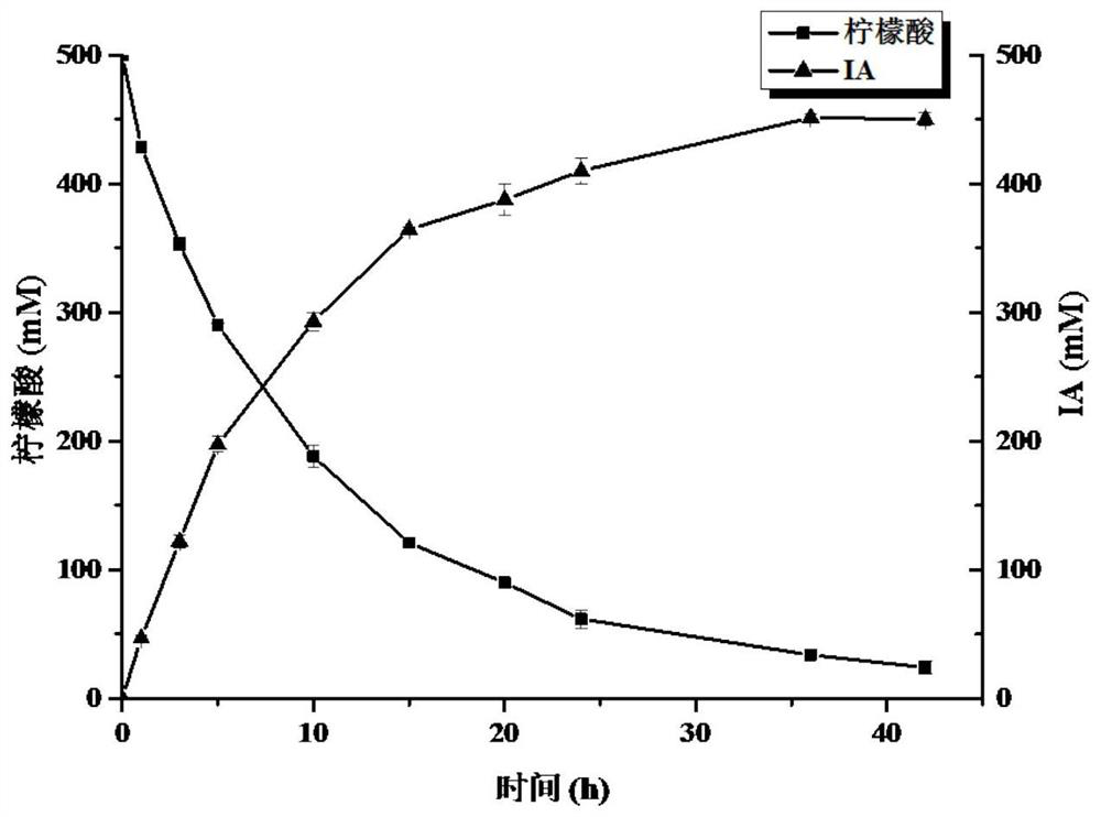 Recombinant halomonas, construction method of recombinant halomonas and application of recombinant halomonas in preparation of itaconic acid by catalyzing citric acid