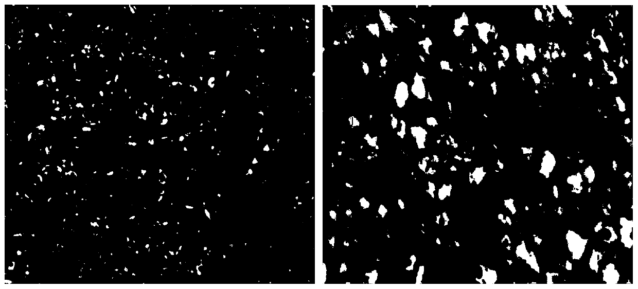 Tilapia mossambica fatty liver damage model and building method and application thereof