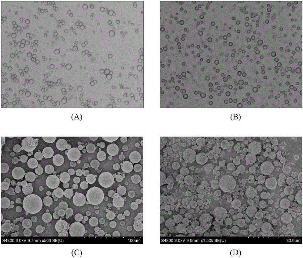 Lung-targeting gelatin microsphere agent containing cefquinome sulfate and preparation method of lung-targeting gelatin microsphere agents
