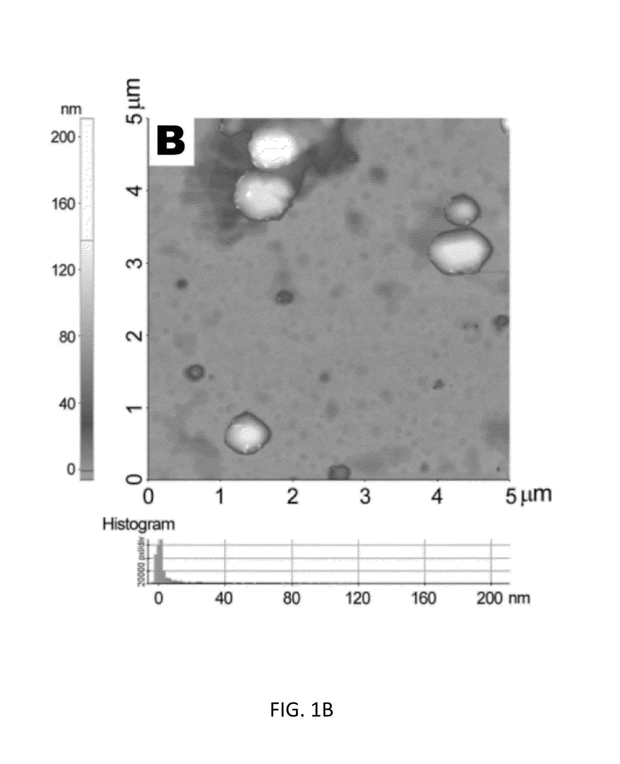 Compositions and methods for treating cardiovascular and pulmonary diseases and disorders with apelin
