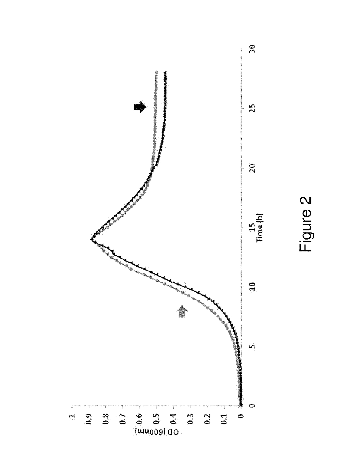 Gene modification in clostridium for increased alcohol production