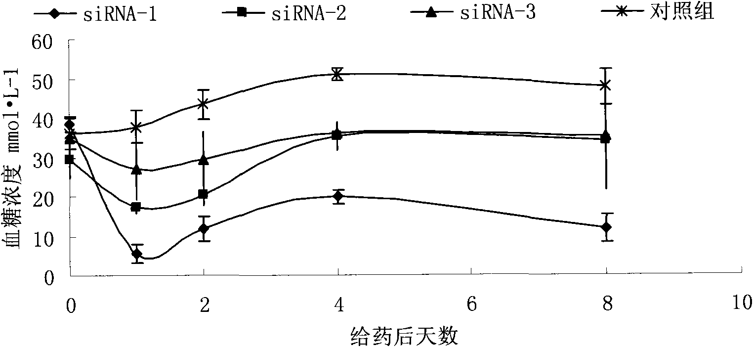 RNA interference sequence of glucagon receptor gene