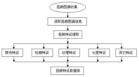 Microscopic identification method for ginseng spleen-strengthening pills