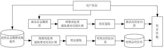 Microscopic identification method for ginseng spleen-strengthening pills