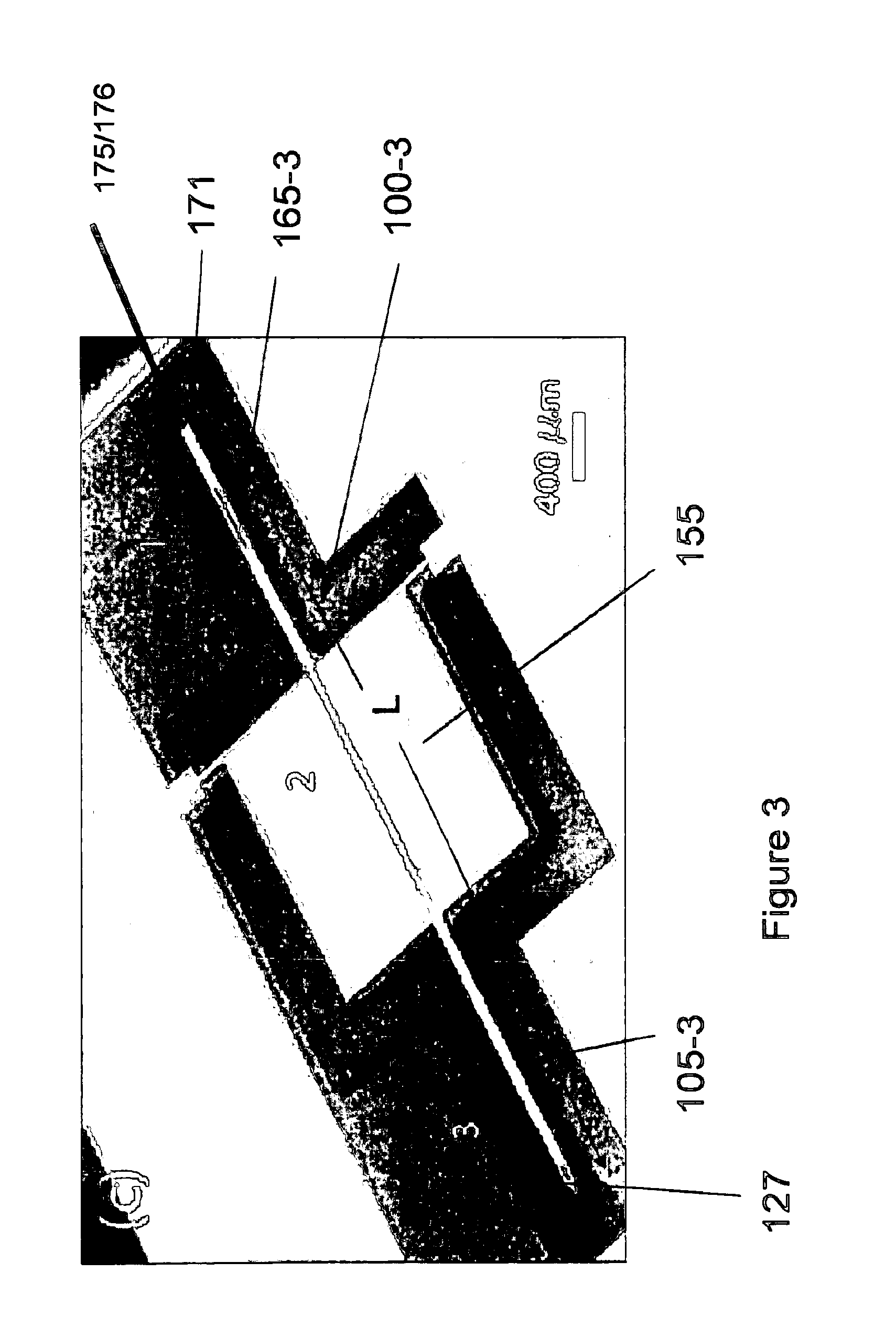 Convection enhanced delivery apparatus, method, and application