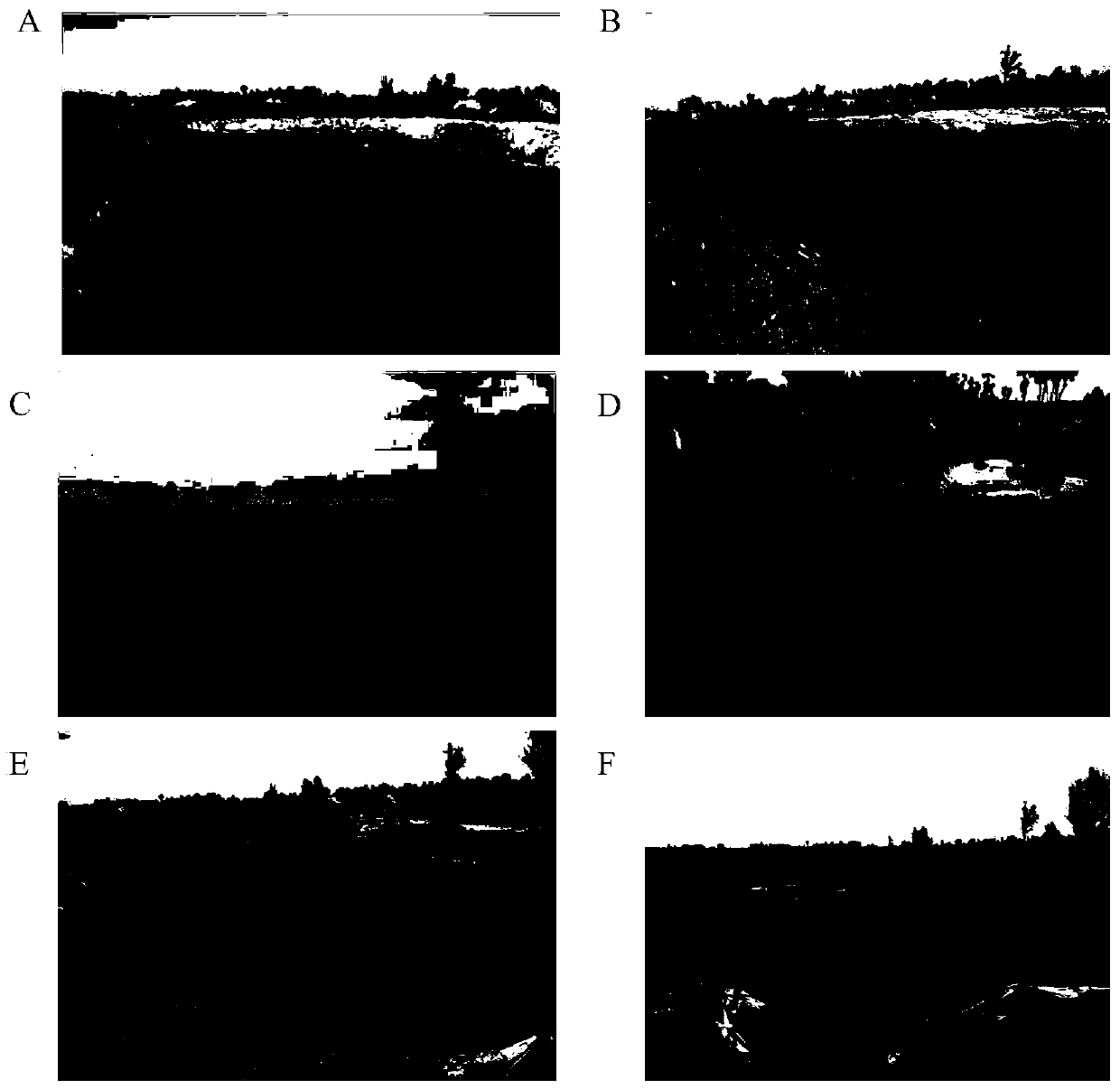 Composition or compound bacterial agent for treating waste drilling mud