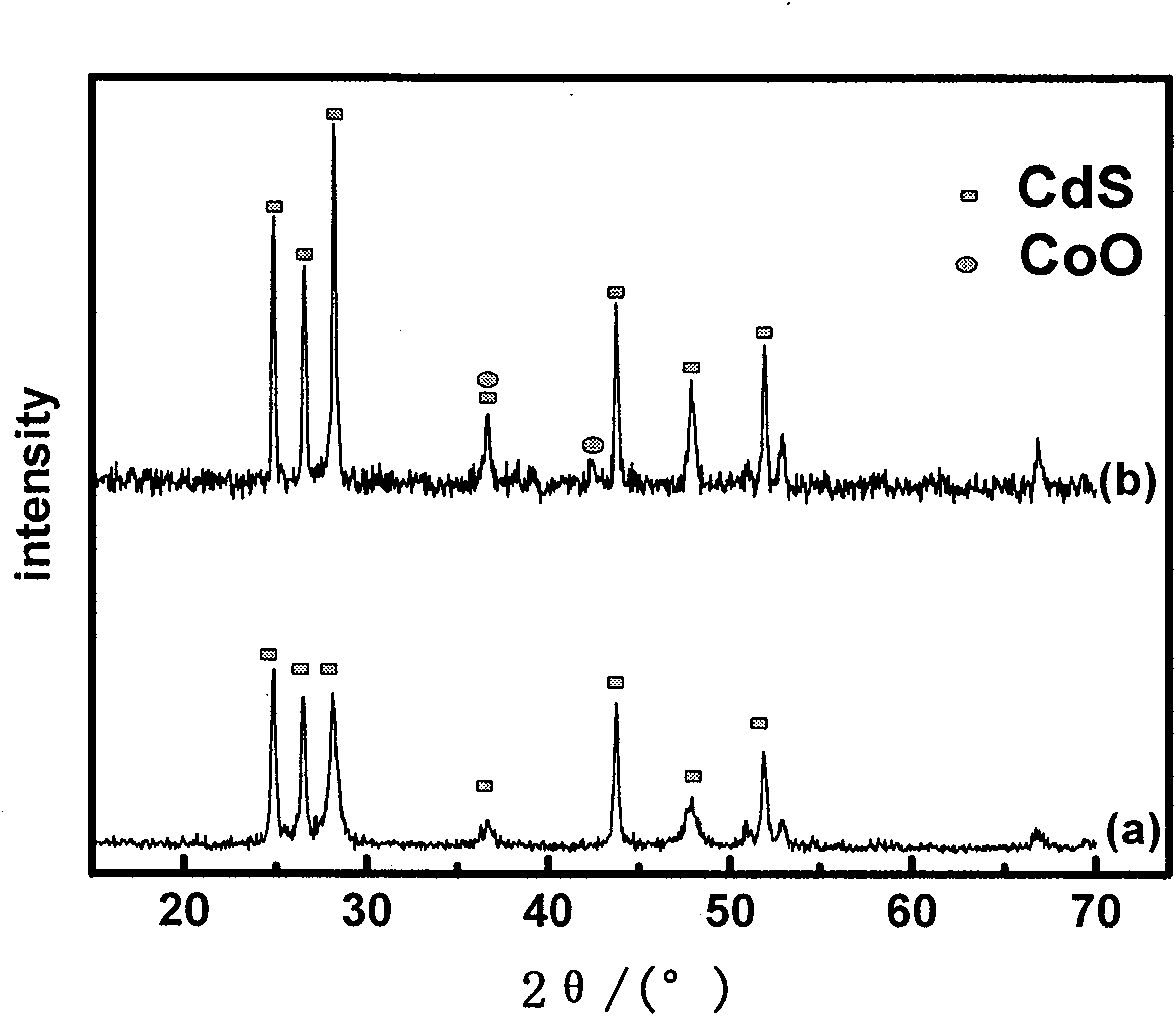Method for preparing p-CoO/n-CdS compound semiconductor photocatalyst
